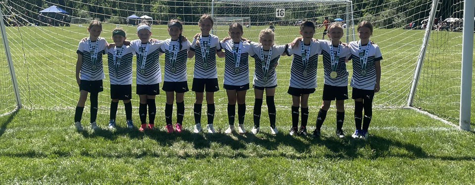 MIST Finalists